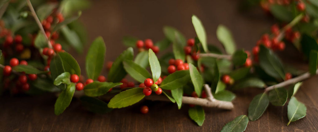Holly Wreath