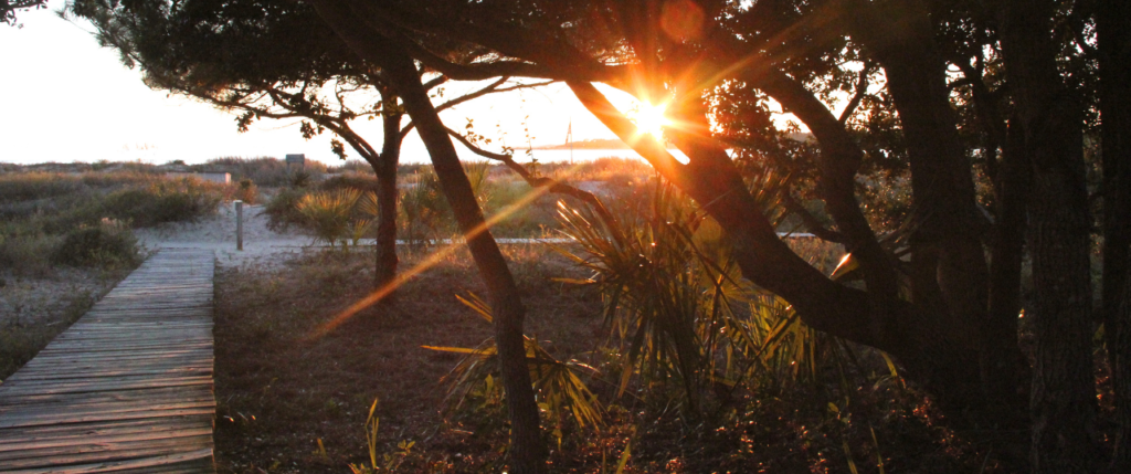 St. Christopher Sunset_lee