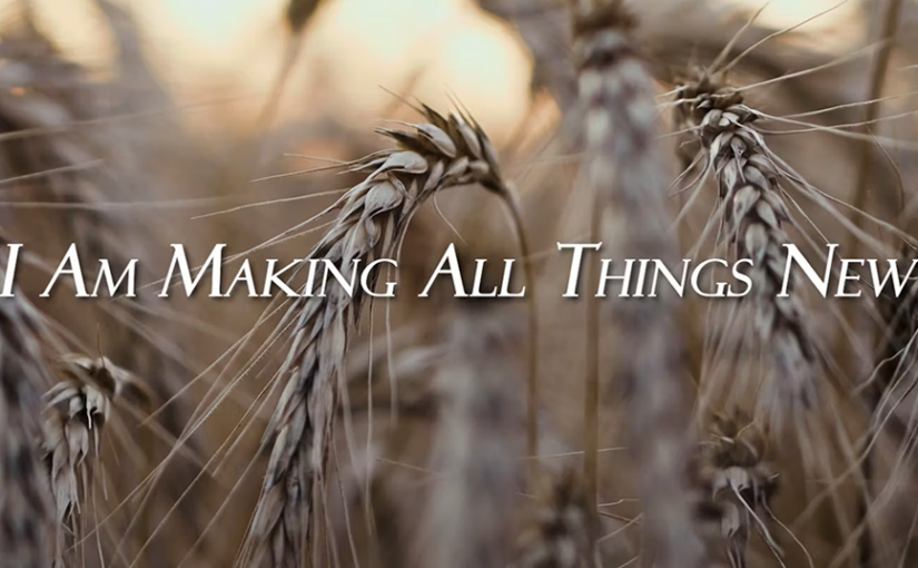 Wheat and Making all things new