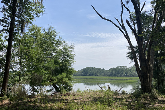 View from Lady's Island property