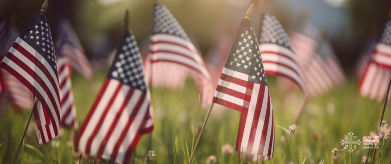 Memorial Day Flags